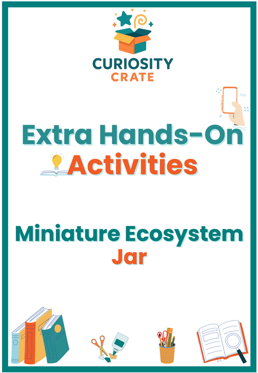 Miniature Ecosystem Jar